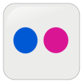 Flickr icon.png