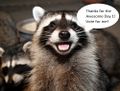Update raccoon.jpg
